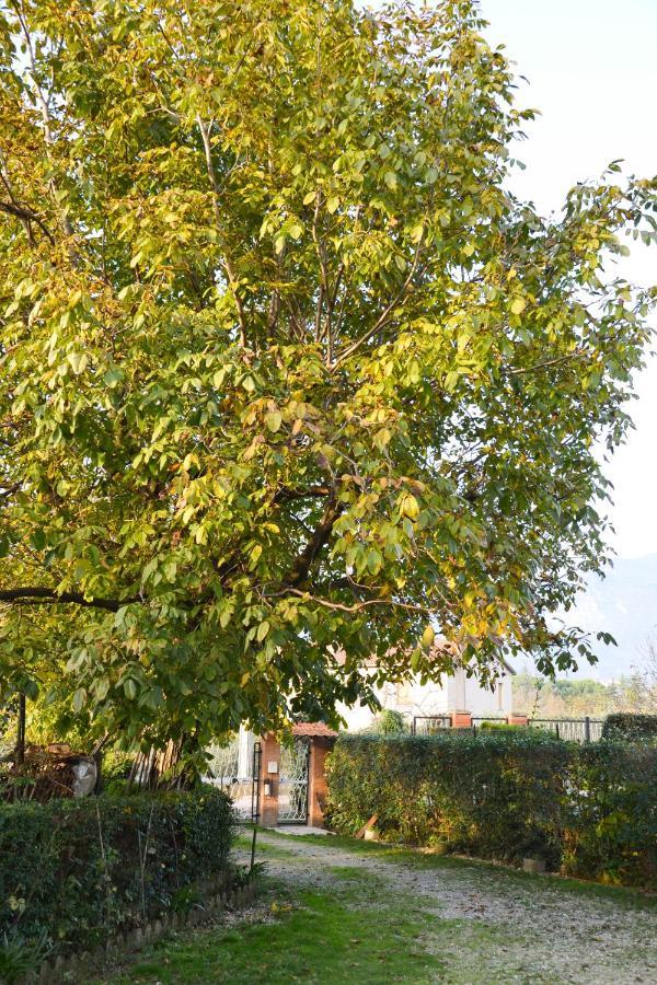 Fable Bed & Breakfast Terni Exterior photo